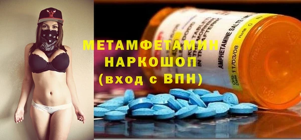 индика Дмитровск