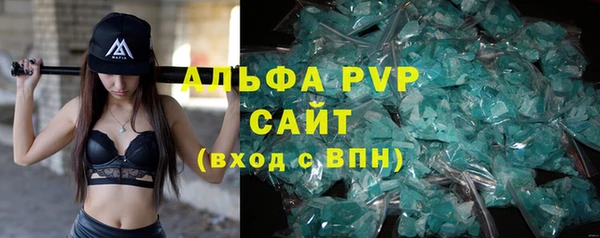 СК Елабуга