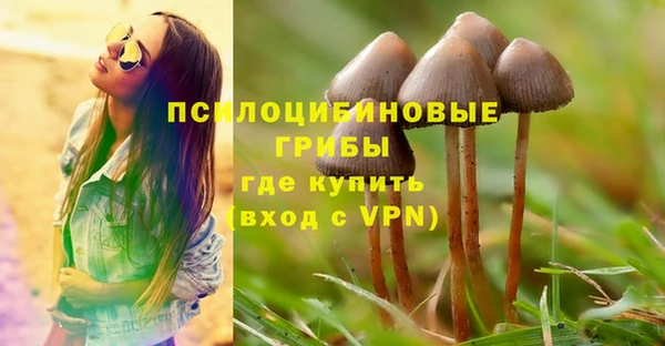 таблы Елизово